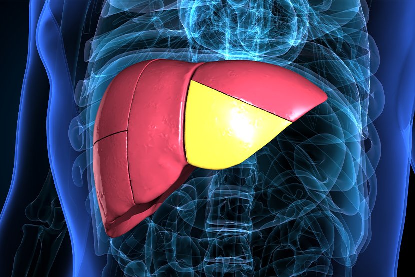 liver surgeon in ahmedabad