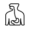 Esophagus Disorders